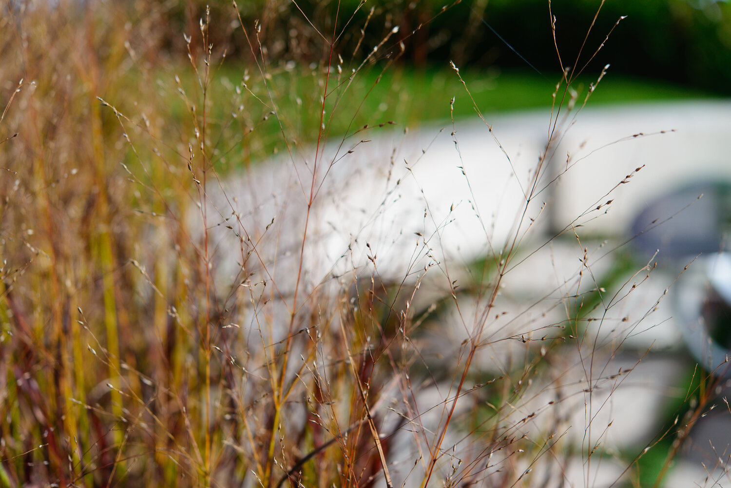 Landscape project by Kristin Booker, Booker Design Assoc.; E-Z Construction Co., Louisville, KY USA