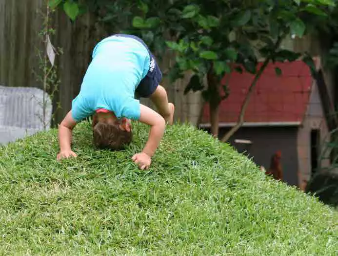 102-19_Chance School Playground Imageboards 2-13