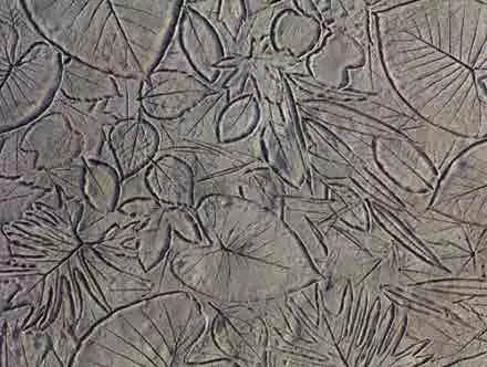 102-19_Chance School Playground Imageboards 2-18