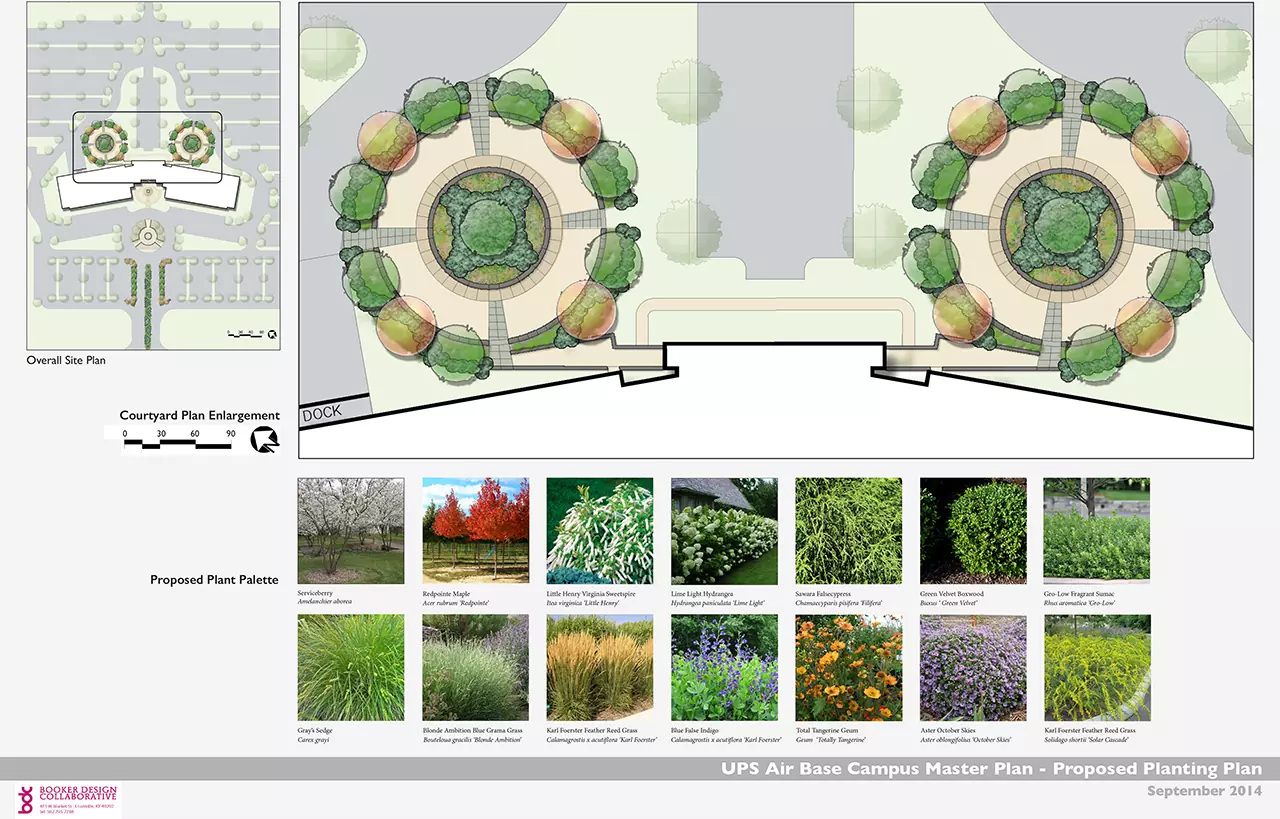 117-14_UPS PH2_IllustrativeBrd_SMAcopy-1