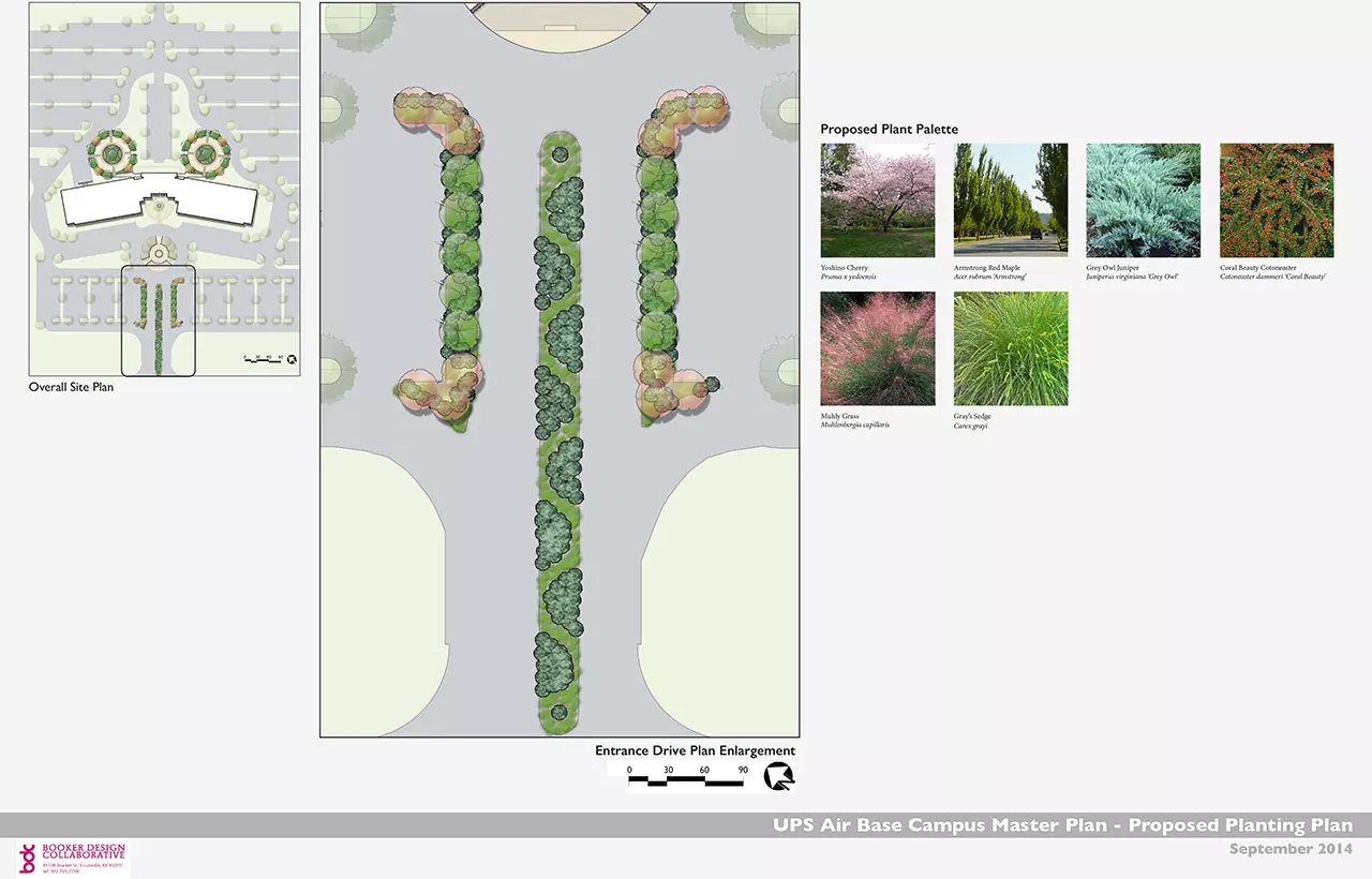 117-14_UPS PH2_IllustrativeBrd_SMAcopy-2